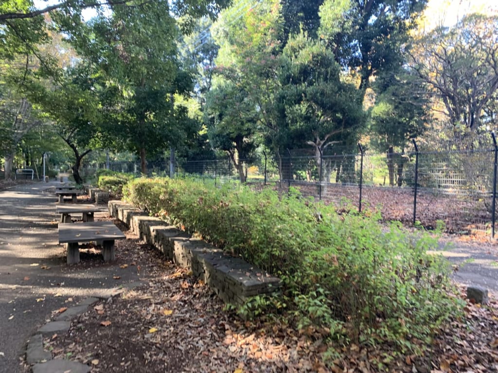 神代植物公園への道