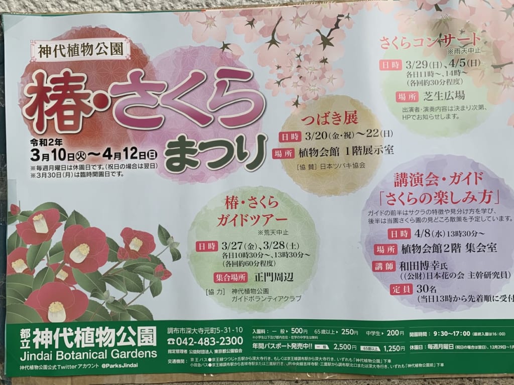 神代植物公園で開催される椿・桜まつり