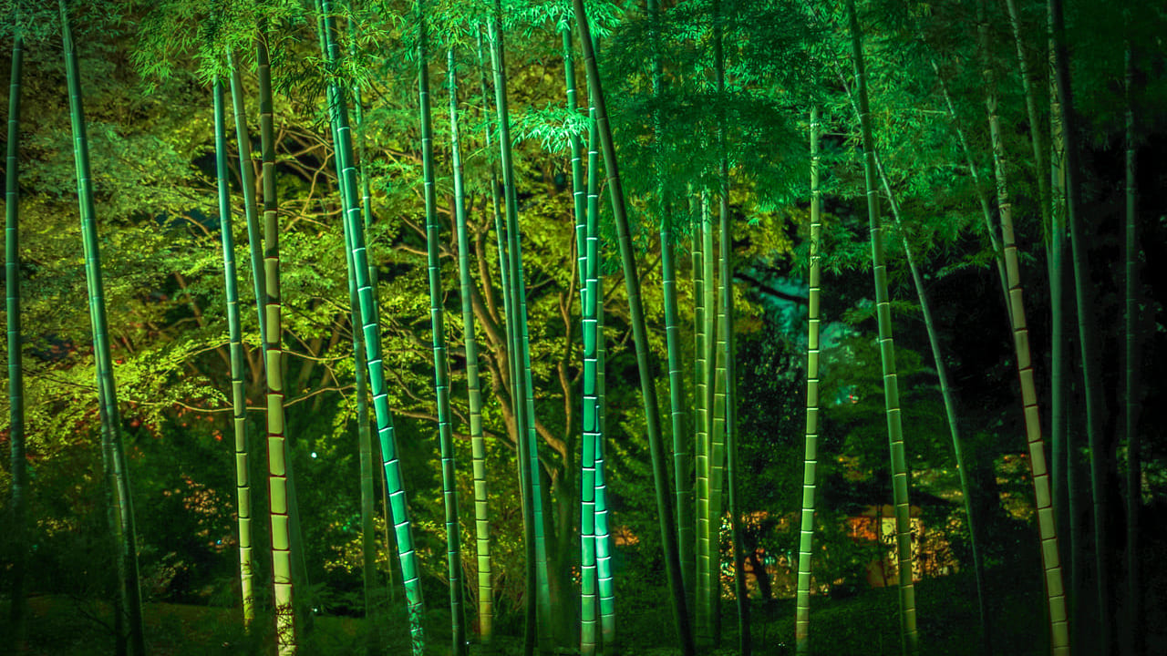 狛江駅前では、泉の森テラスが開催