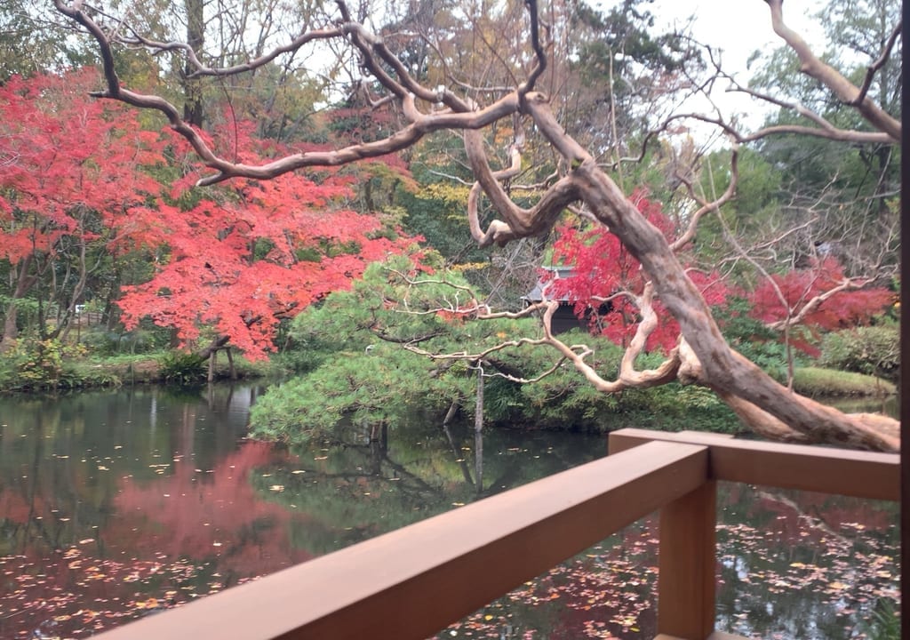 深大寺では紅葉が見ごろとなります。