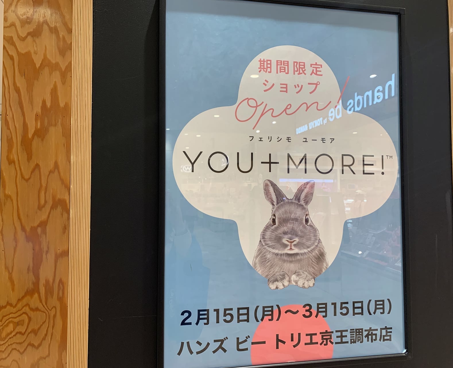 期間限定ショップ「YOU+MORE!」がトリエ京王調布内ハンズビーにて出店中です。