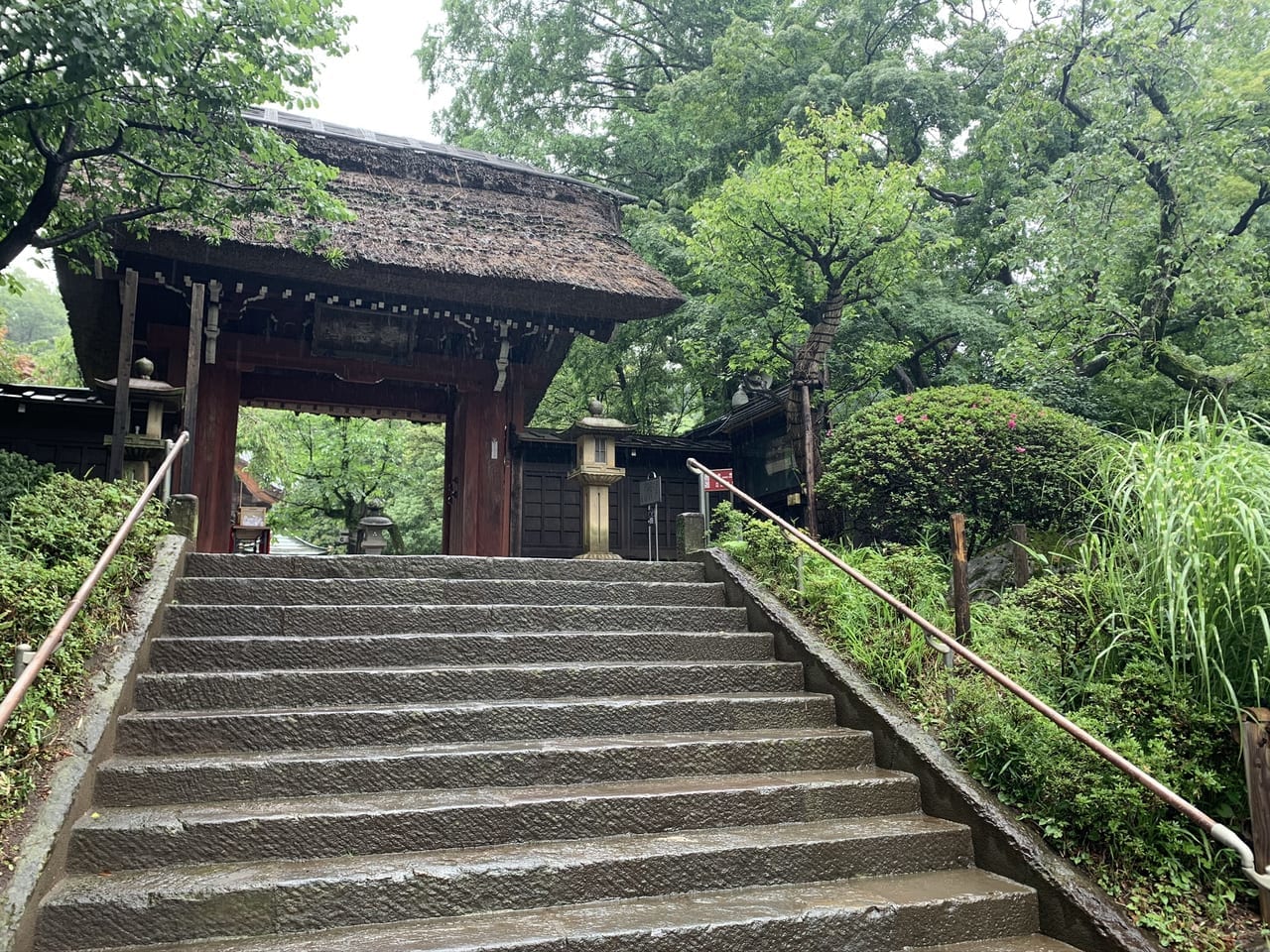 梅雨の深大寺