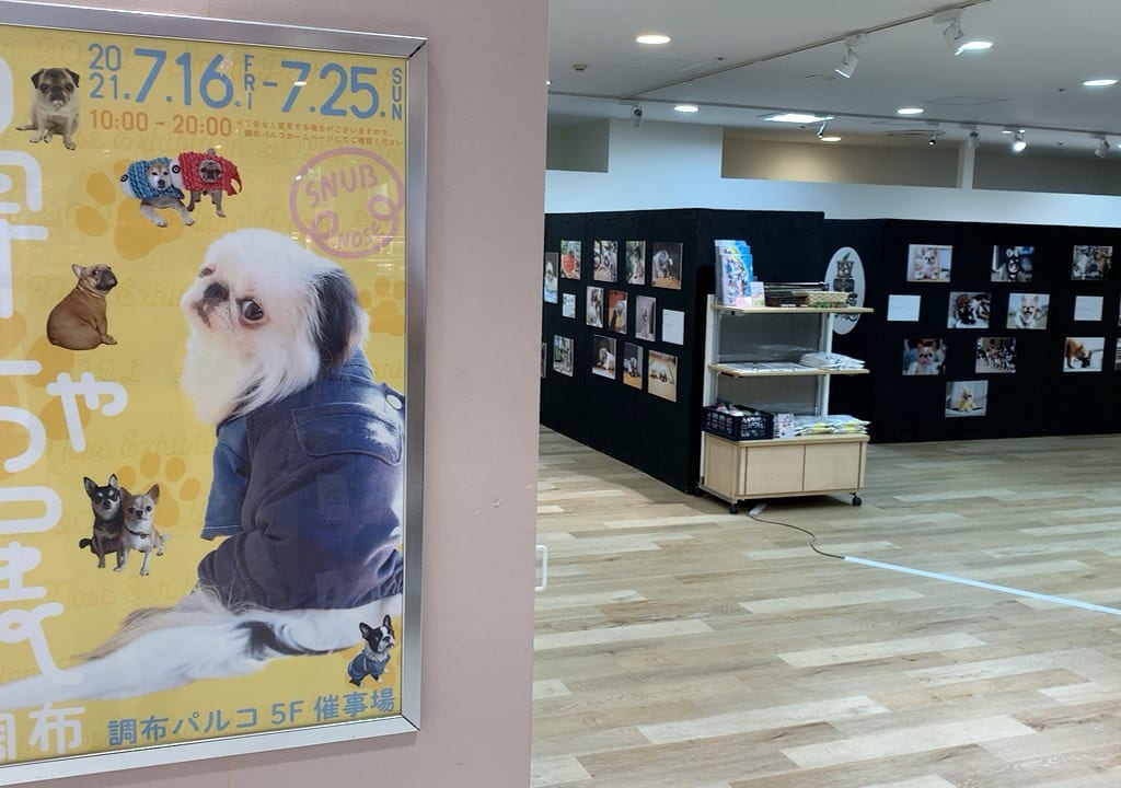 調布パルコで行われている「鼻ぺちゃ展in調布」に行ってきました