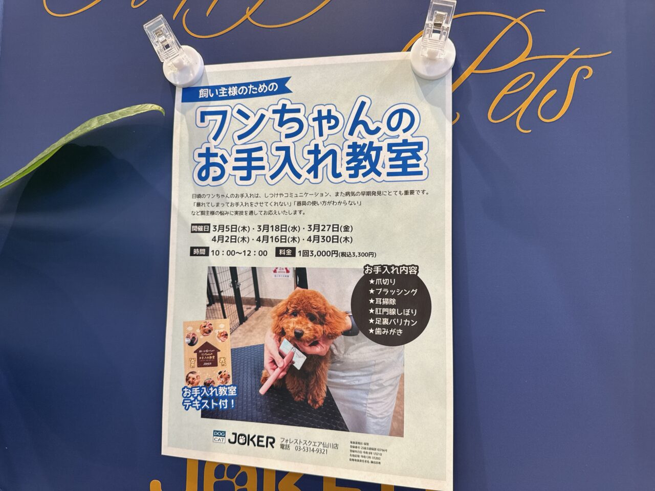 飼い主向け講習会