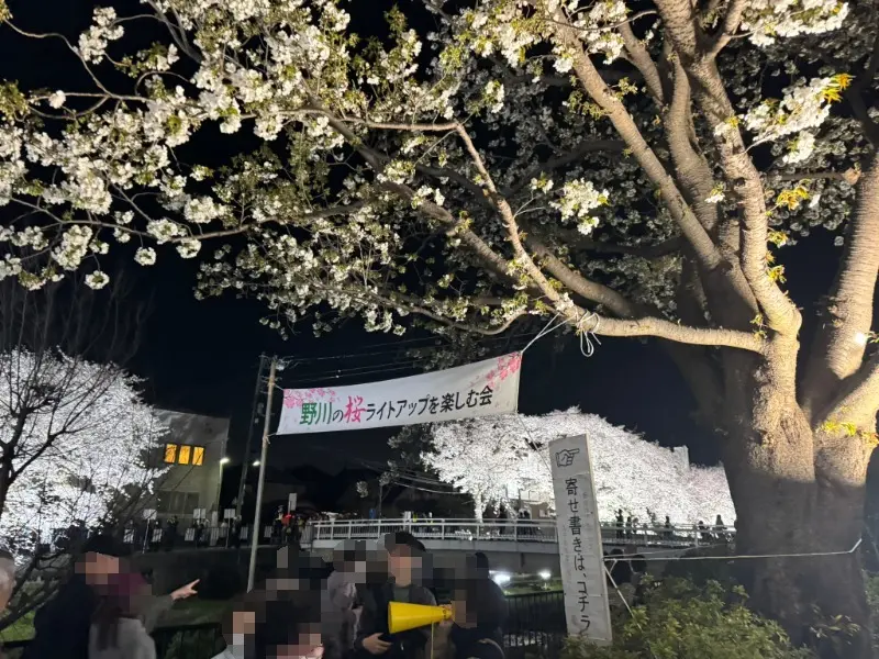 野川の桜ライトアップにはたくさんの人が訪れていた