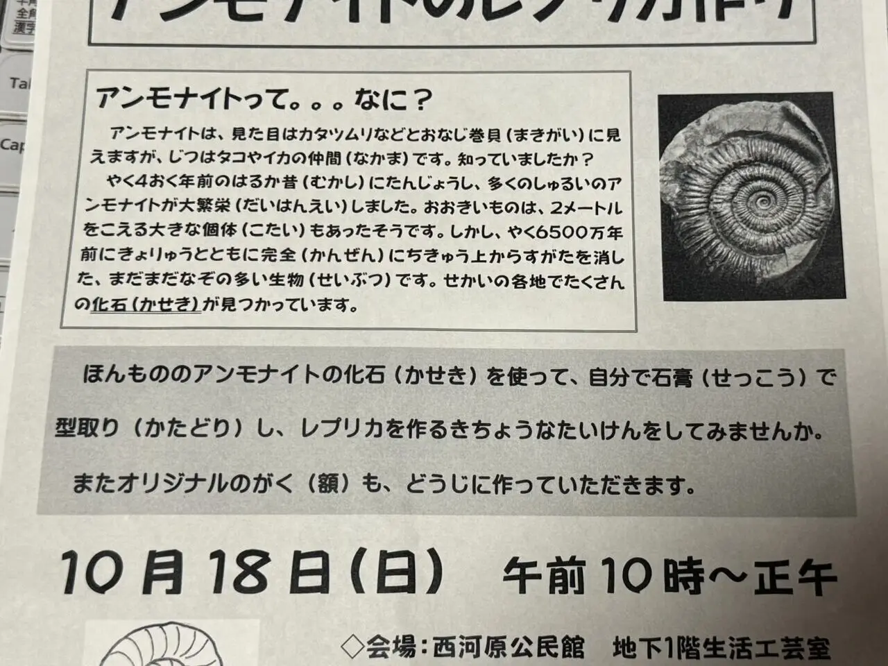 西河原公民館で開催されるアンモナイトのレプリカ作りの案内チラシ