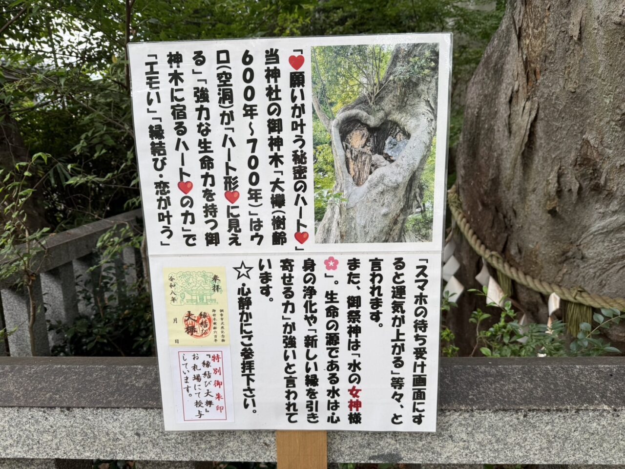 青渭神社の御神木大欅に宿る秘密のハートと特別御朱印について書かれた案内板