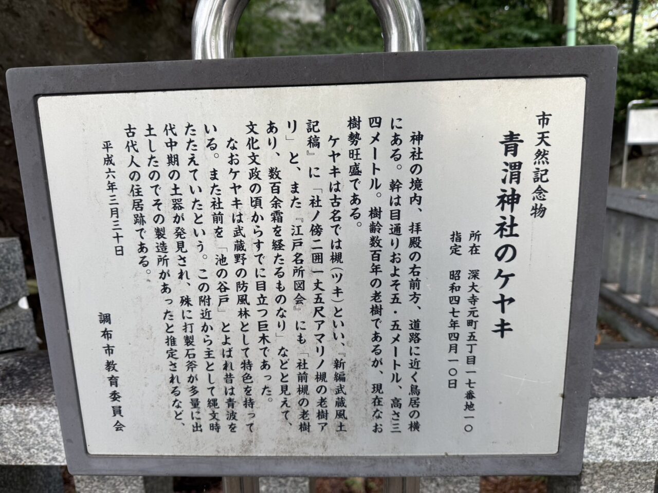 調布市教育委員会が設置した市天然記念物「青渭神社のケヤキ」の案内板